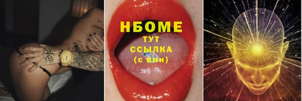 гидра Майский