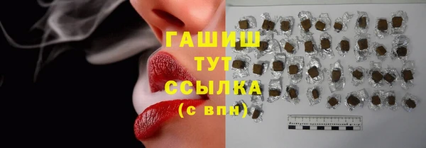 гидра Майский