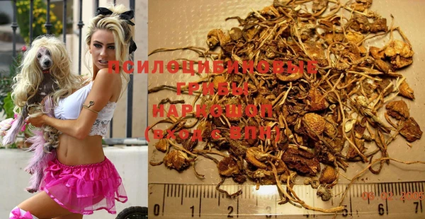 гидра Майский