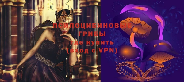 гидра Майский