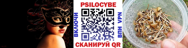 Псилоцибиновые грибы GOLDEN TEACHER  Купить где  Павловский Посад 