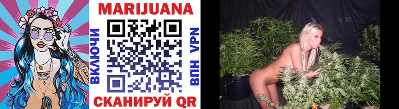 Конопля Bruce Banner  Купить  Павловский Посад 